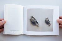 Magnetics / Michael Borremans