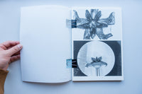 Microscopic Images / Loh Xiang Yun