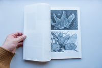 Microscopic Images / Loh Xiang Yun