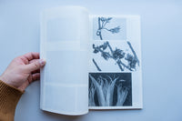 Microscopic Images / Loh Xiang Yun