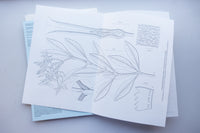 Microscopic Images / Loh Xiang Yun
