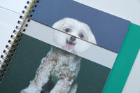 Mixing Dogs / Hyunjin Park & Eunbyel Lee