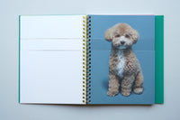 Mixing Dogs / Hyunjin Park & Eunbyel Lee