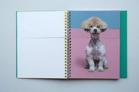 Mixing Dogs / Hyunjin Park & Eunbyel Lee