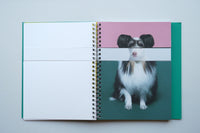 Mixing Dogs / Hyunjin Park & Eunbyel Lee