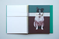 Mixing Dogs / Hyunjin Park & Eunbyel Lee