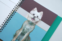 Mixing Dogs / Hyunjin Park & Eunbyel Lee