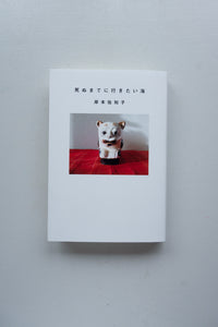 死ぬまでに行きたい海 / 岸本佐知子