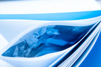 Sight Seeing / Futoshi Miyagi