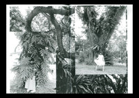 Singaporeana! / fumiko imano