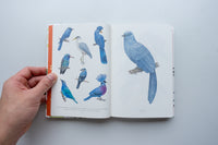 Subject & Object / 三宅瑠人