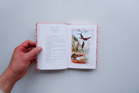 ちいさな手のひら事典 とり / アンヌ・ジャンケリオヴィッチ