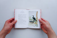 ちいさな手のひら事典 とり / アンヌ・ジャンケリオヴィッチ