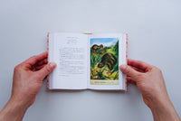 ちいさな手のひら事典 とり / アンヌ・ジャンケリオヴィッチ