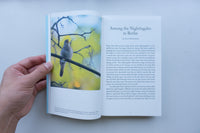 These Birds of Temptation / Anna-Sophie Springer, Etienne Turpin