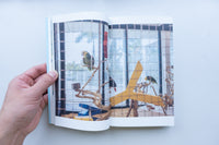 These Birds of Temptation / Anna-Sophie Springer, Etienne Turpin