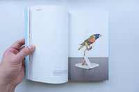 These Birds of Temptation / Anna-Sophie Springer, Etienne Turpin