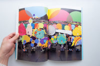 Visitor II / Peter McDonald